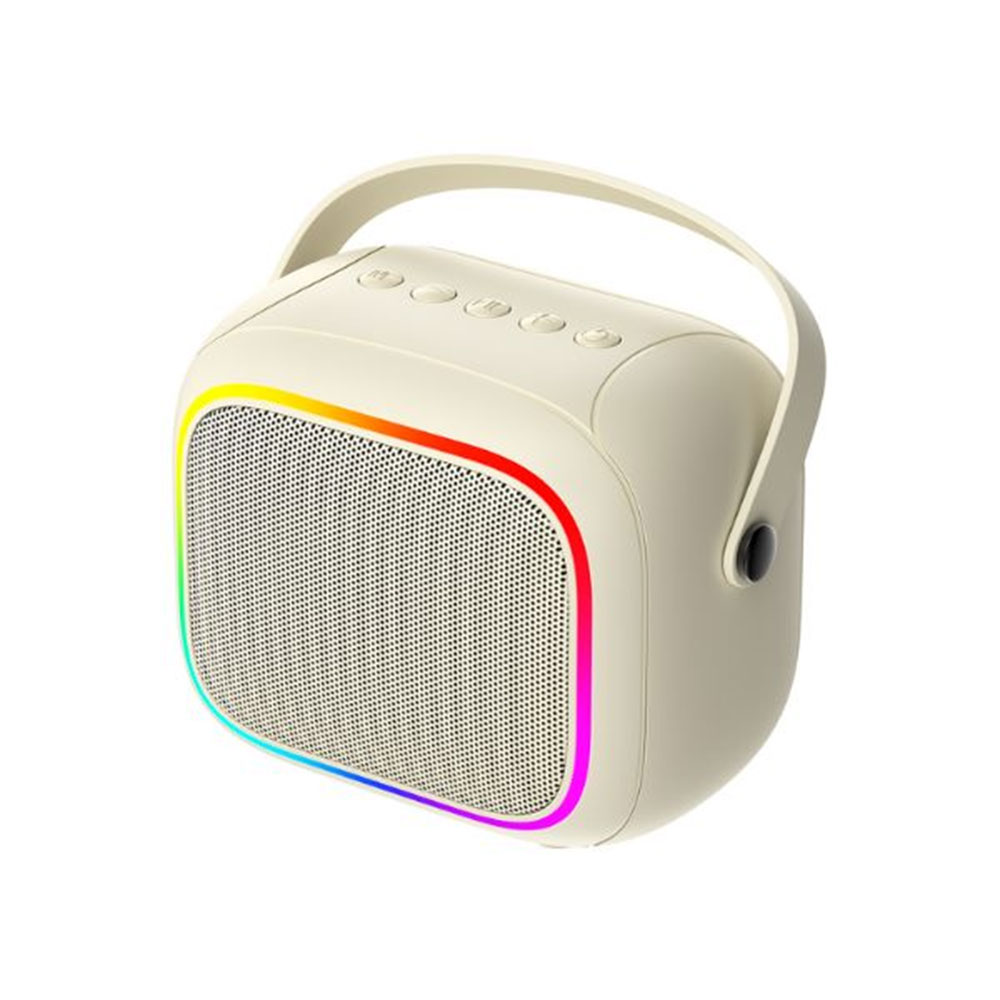 Havit SK818BT Mini Karaoke Wireless Speaker with Microphone